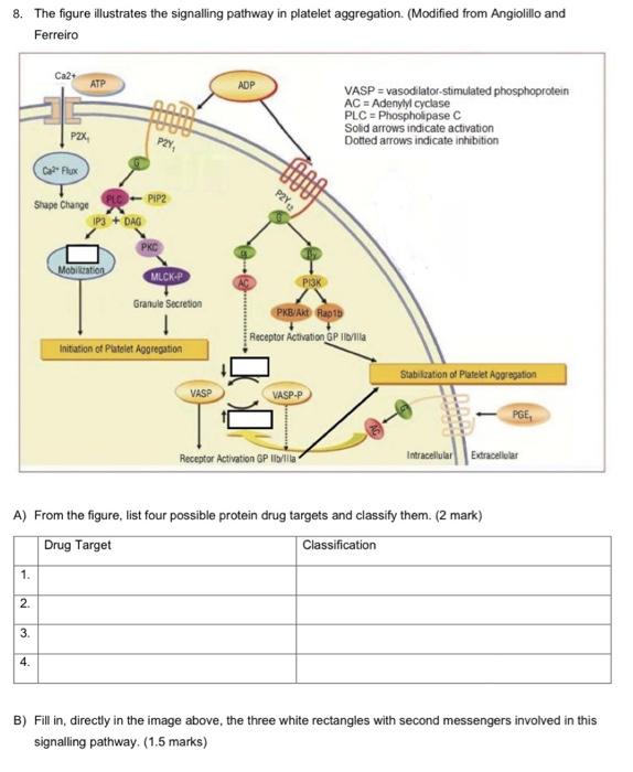 8. The figure illustrates the signalling pathway in platelet aggregation. (Modified from Angiolillo and Ferreiro
A) From the 