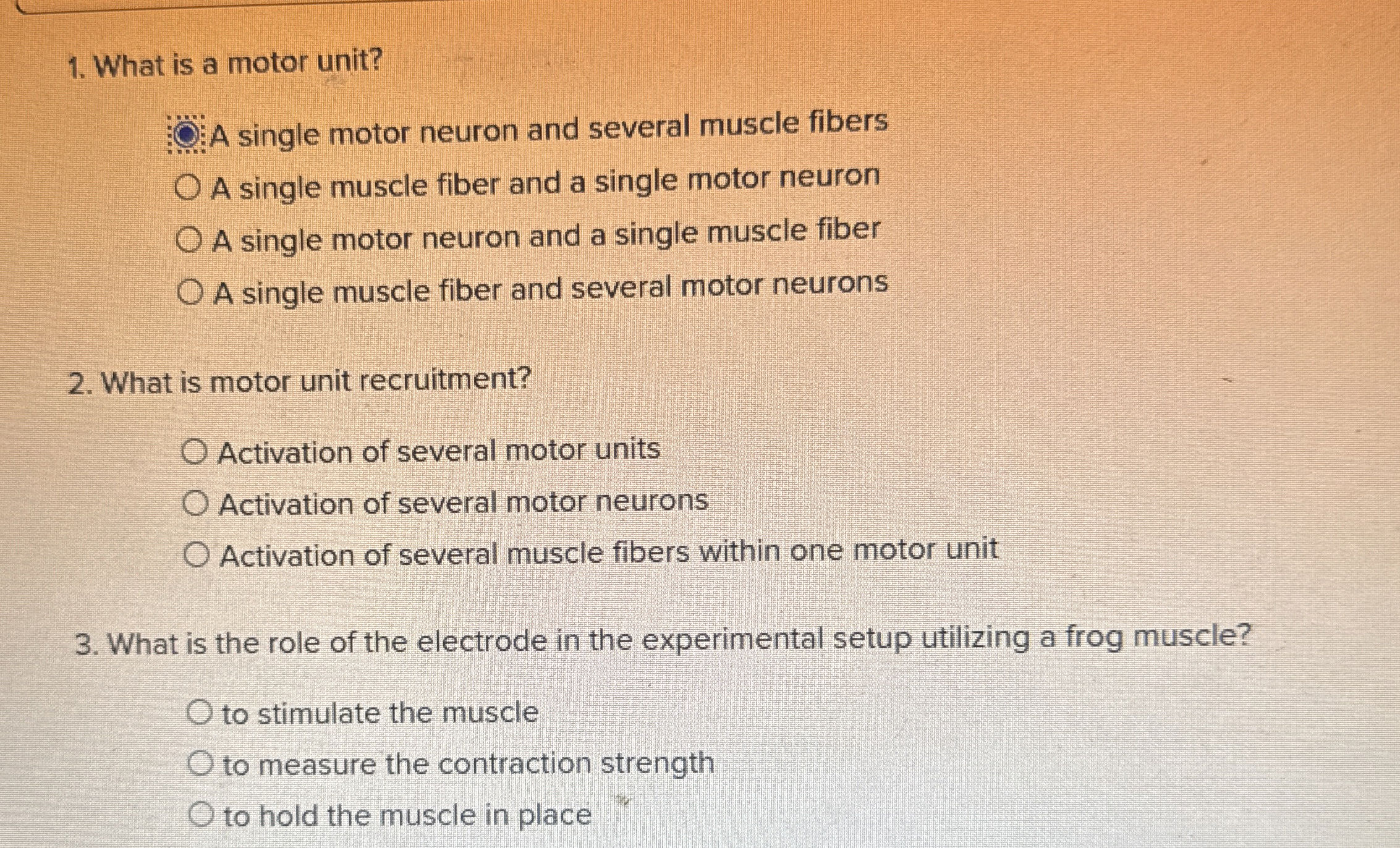 Solved What is a motor unit?A single motor neuron and | Chegg.com