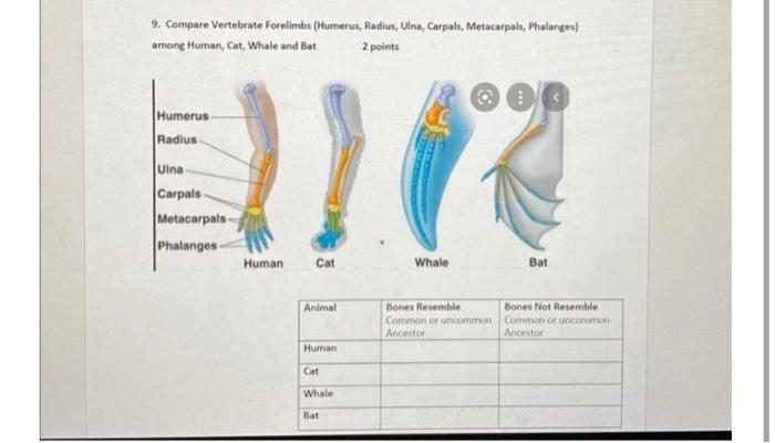 Solved 9. Compare Vertebrate Forelimbs (Humerus, Radius, | Chegg.com