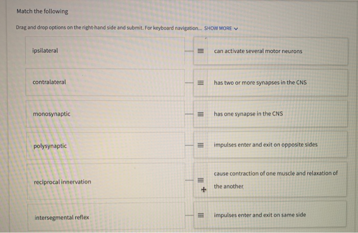 solved-match-the-following-drag-and-drop-options-on-the-chegg