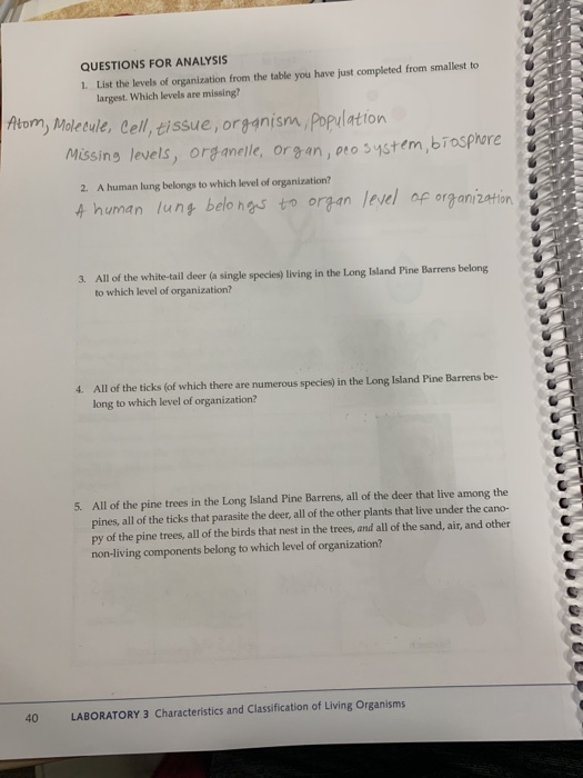 Solved Sample Level of Organization Brief Definition Another