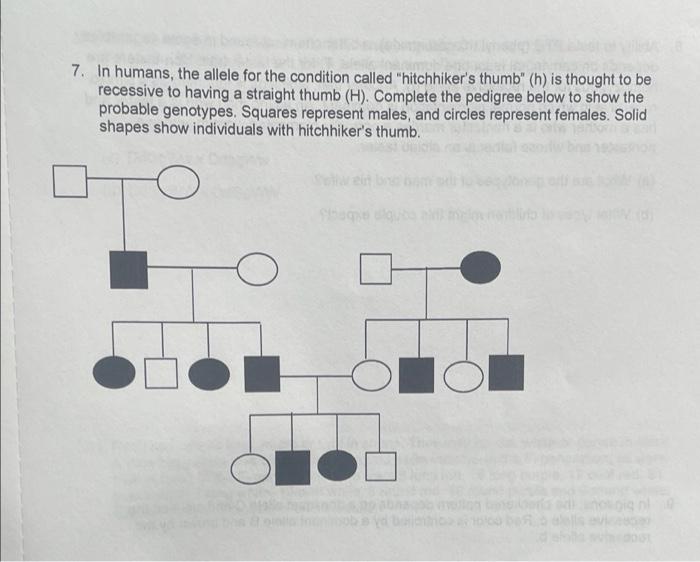 solved-7-in-humans-the-allele-for-the-condition-called-chegg