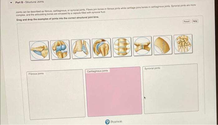 solved-part-b-structural-joints-joints-can-be-described-as-chegg