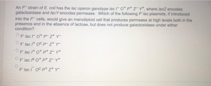 Solved An F−strain of E, coli has the lac operon genotype | Chegg.com