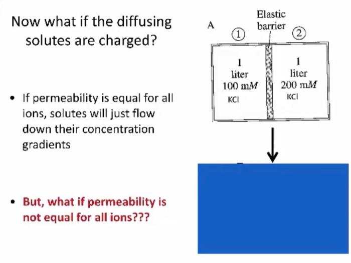Solved which way does current flow one trick the ion will chegg