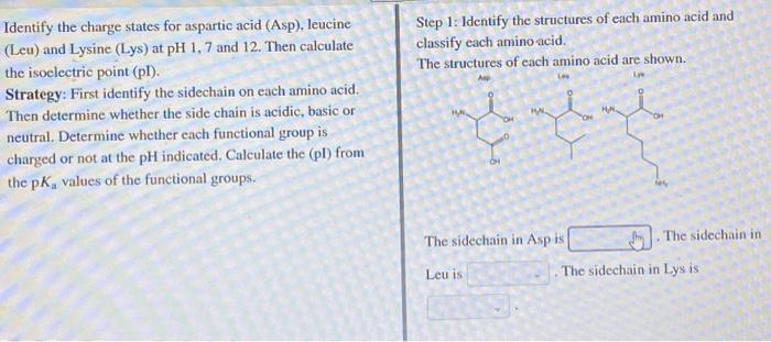 Solved Step 1: Identify the structures of each amino acid | Chegg.com