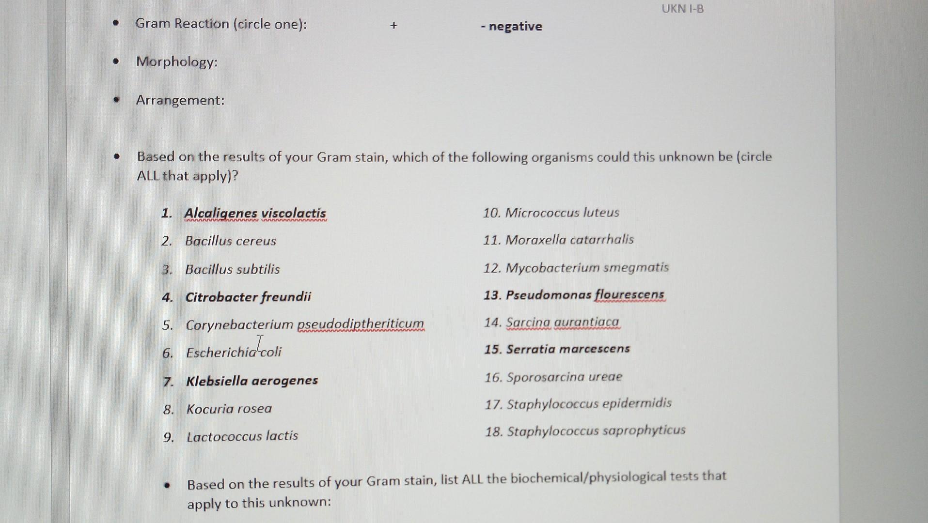 Based on the results of your Gram stain, which of | Chegg.com