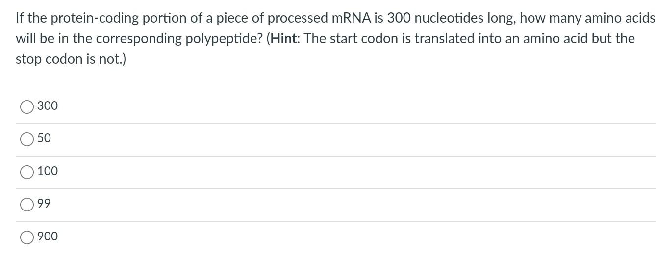 If the protein-coding portion of a piece of processed mRNA is 300 nucleotides long, how many amino acids will be in the corre