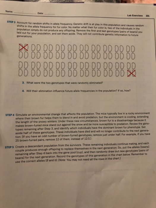 . EXERCISE OVERLAPPING FORCES OF EVOLUTION Work in a | Chegg.com