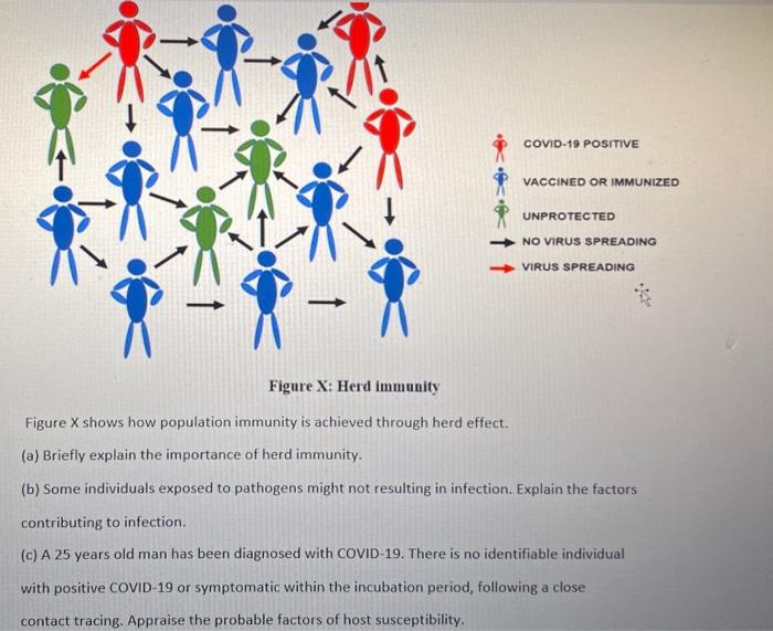 Solved Figure X : Herd immunity Figure X shows how | Chegg.com
