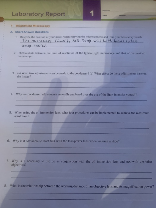 Solved Laboratory Report 1 1 Brightfield Microscopy A.