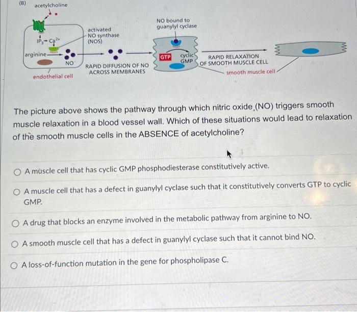 Solved The picture above shows the pathway through which | Chegg.com