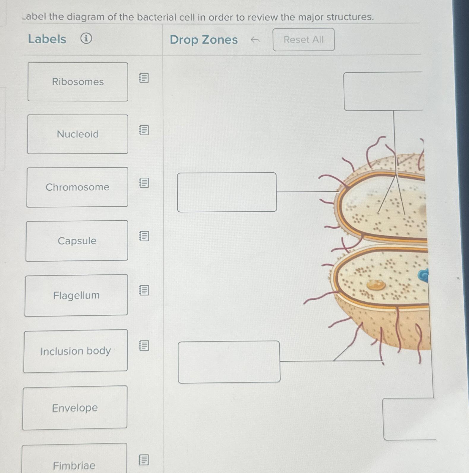 Solved -abel the diagram of the bacterial cell in order to | Chegg.com