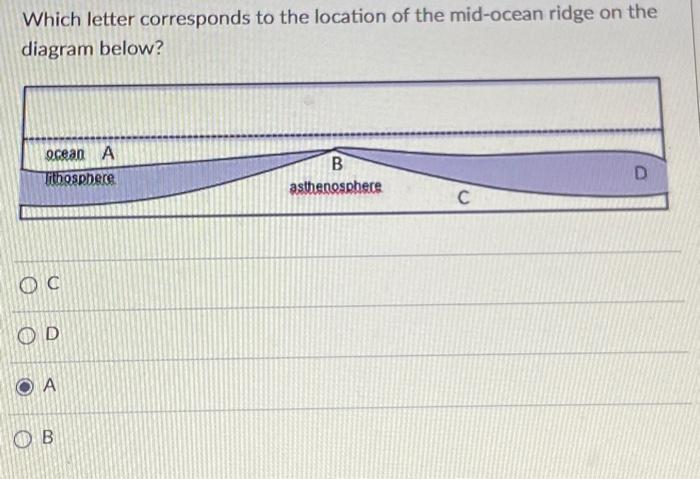Solved Which letter corresponds to the location of the | Chegg.com