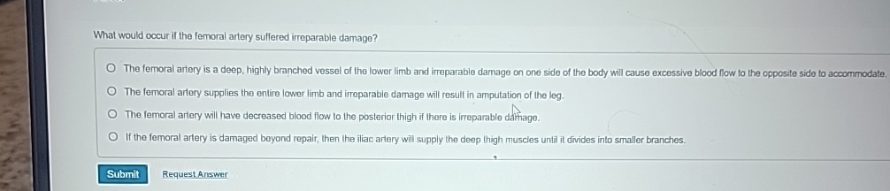 Solved What would occur if the femoral artery suffered | Chegg.com