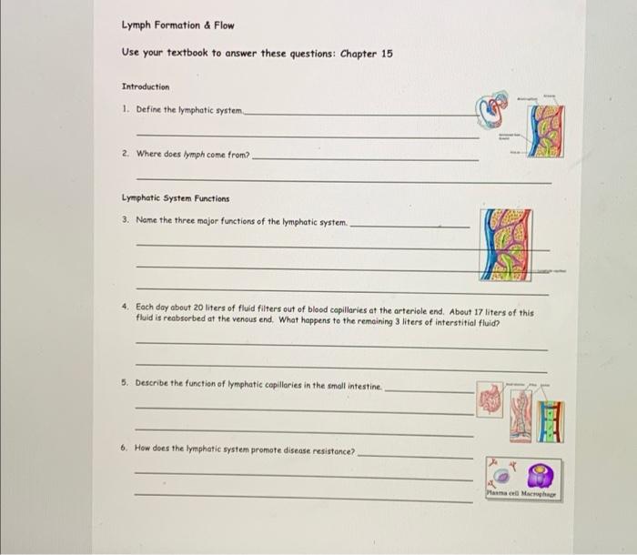 Solved Lymph Formation & Flow Use your textbook to answer | Chegg.com