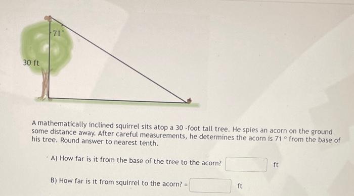 Solved A mathematically inclined squirrel sits atop a 30 | Chegg.com