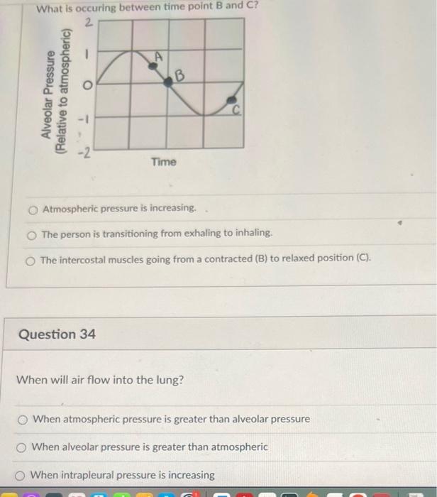 Solved What is occuring between time point B and C ? | Chegg.com