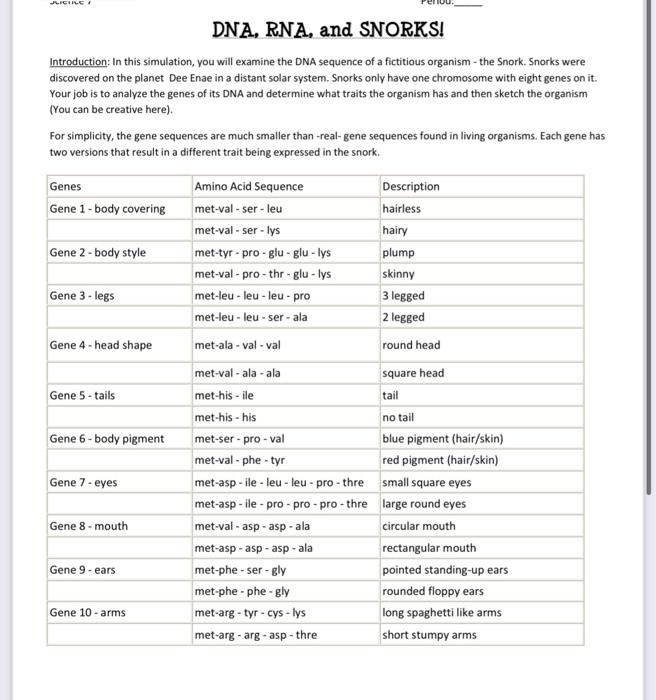 Solved Please help with this DNA, RNA, and SNORKS activity.