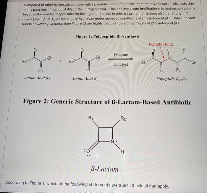 Solved Compared to other carboxylic acid derivatives, amides | Chegg.com