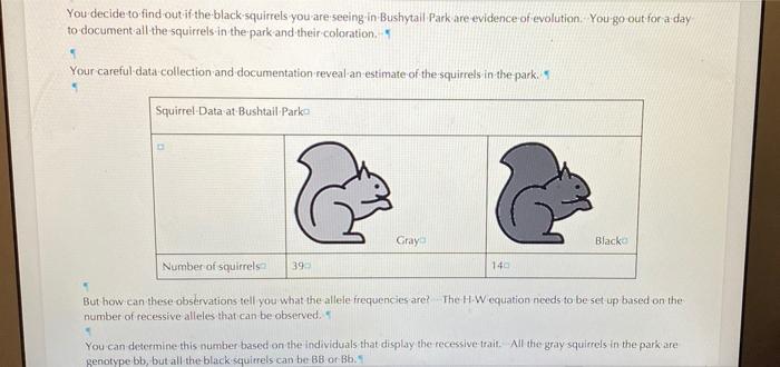Solved You decide to find out if the black squirrels you are | Chegg.com