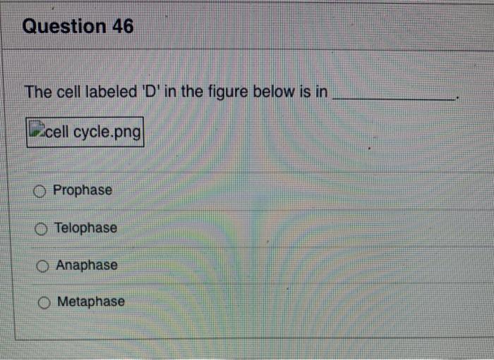 Solved Question 43 2 pts Which one of the following | Chegg.com