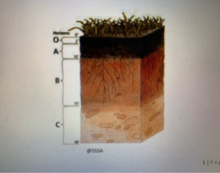 Solved Figure below shows the soil profile at a site. Draw | Chegg.com