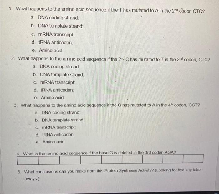 What happens to the amino acid sequence if the \( T \) has mutated to \( A \) in the \( 2^{\text {nd }} \) còdon CTC?
a. DNA 