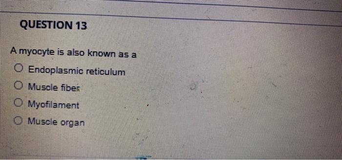 Solved QUESTION 13 A myocyte is also known as a O | Chegg.com