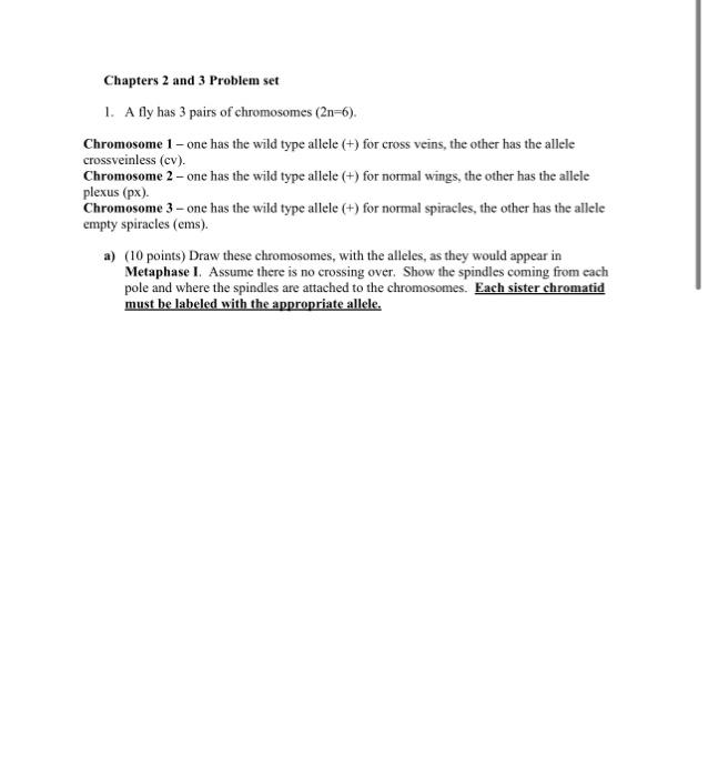 Solved Chapters 2 and 3 Problem set 1. A fly has 3 pairs of | Chegg.com
