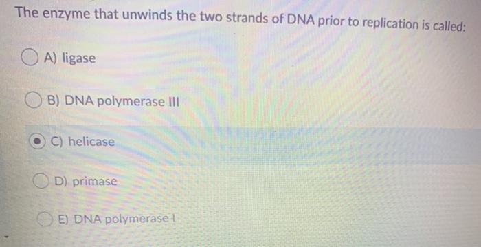 Solved Which of the following mutations is MOST likely to | Chegg.com