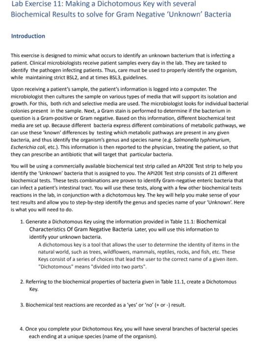 Solved I need help creating a dichotomous key, please with | Chegg.com
