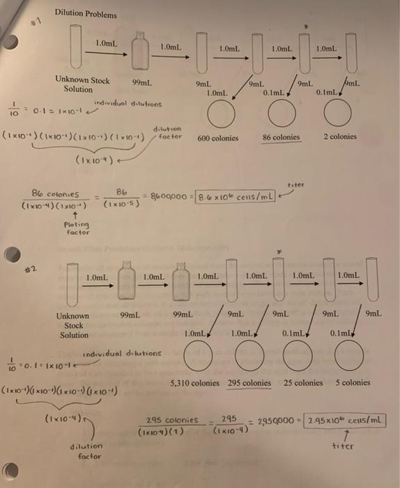 Solved (These dilution problems are for my MICROBIOLOGY