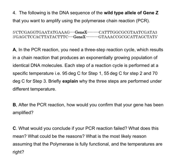 Solved 4. The following is the DNA sequence of the wild type | Chegg.com