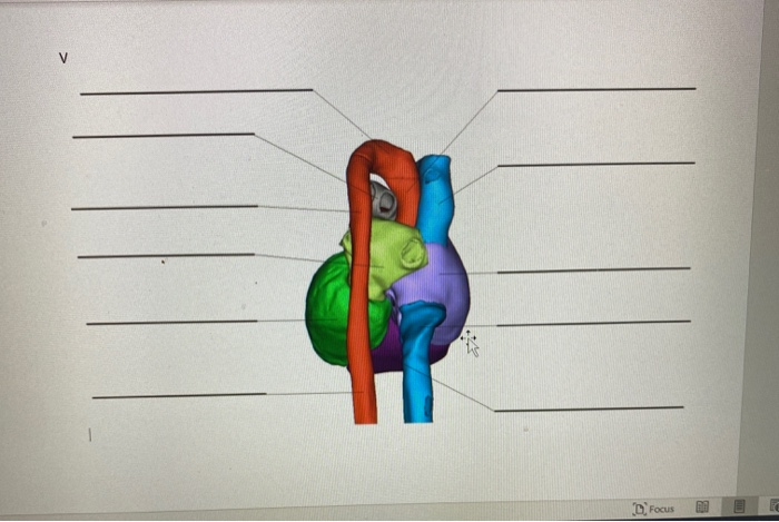 Solved V D Focus Chegg com