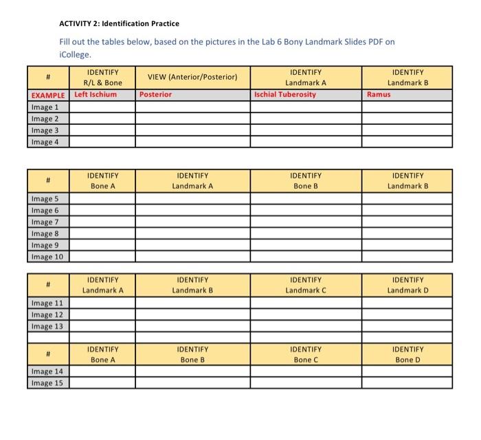 Solved ACTIVITY 2: Identification Practice Fill out the | Chegg.com