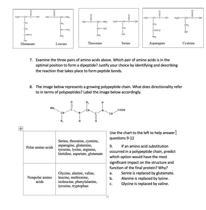 Solved 1. List the elements found in all proteins: 2. What | Chegg.com