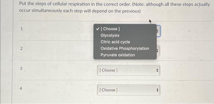Solved Put the steps of cellular respiration in the correct | Chegg.com