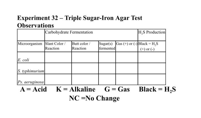 Solved EXPERIMENT 32 Triple Sugar-Iron Agar Test (TSI) Photo | Chegg.com