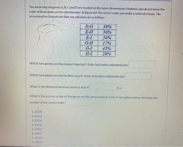 Solved You Know That The Genes A, B, C And D Are Located On | Chegg.com