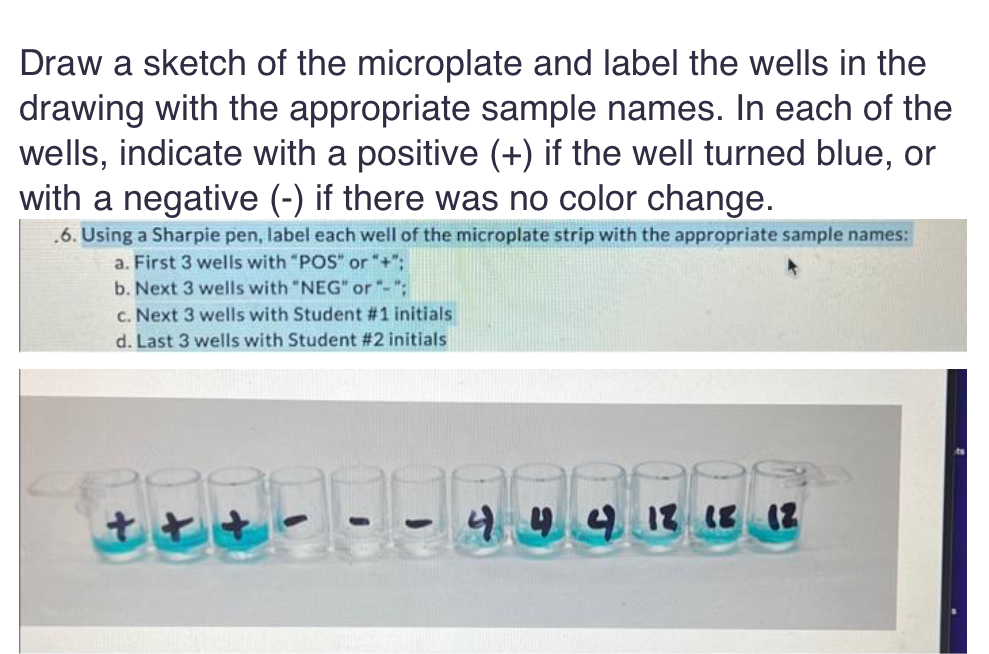 Solved Draw a sketch of the microplate and label the wells