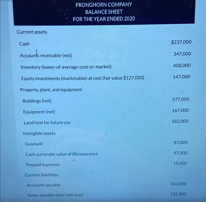 PRONGHORN COMPANY BALANCE SHEET FOR THE YEAR ENDED