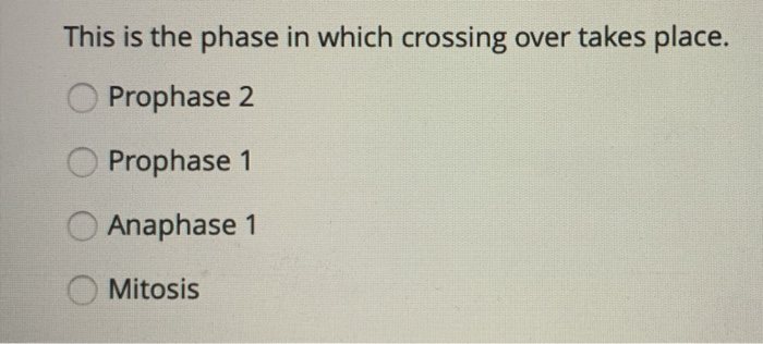 crossing over occurs during which of the following phases