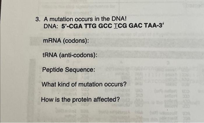 Solved 3. A mutation occurs in the DNA! DNA: 5'-CGA TTG GCC | Chegg.com