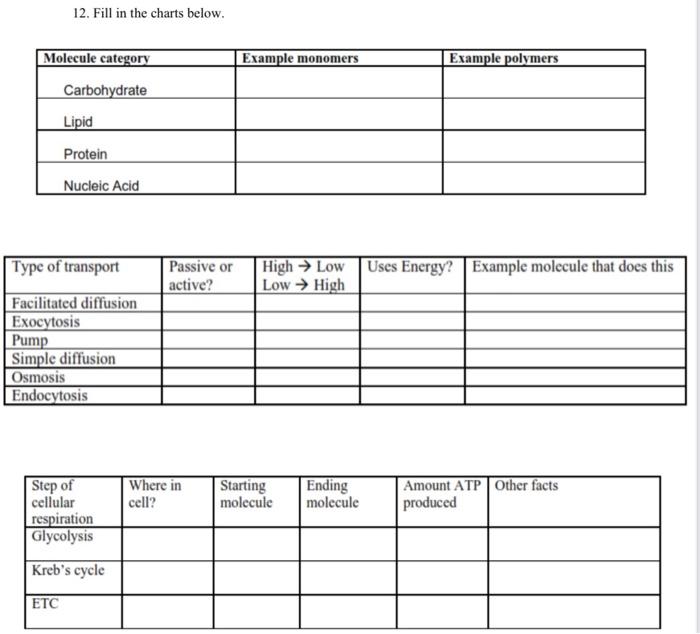 12. Fill in the charts below.