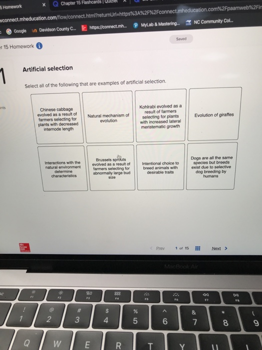 Biology chapter 5 answer key image