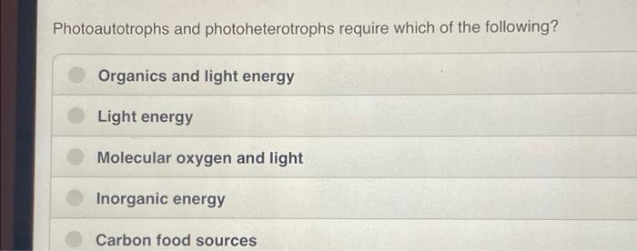 photoautotrophes