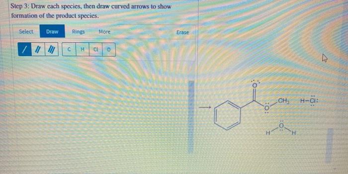 Solved Examination of the Fischer esterification mechanism | Chegg.com