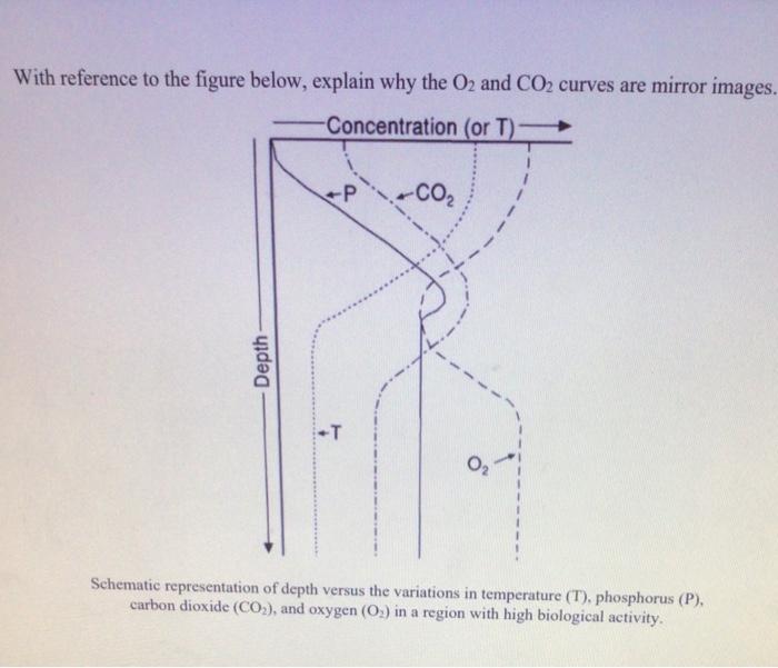 Solved With reference to the figure below, explain why the | Chegg.com