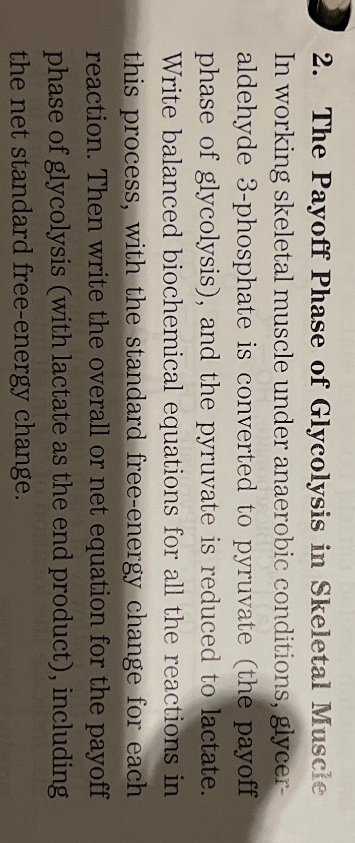 Solved The Payoff Phase of Glycolysis in Skeletal Muscie In
